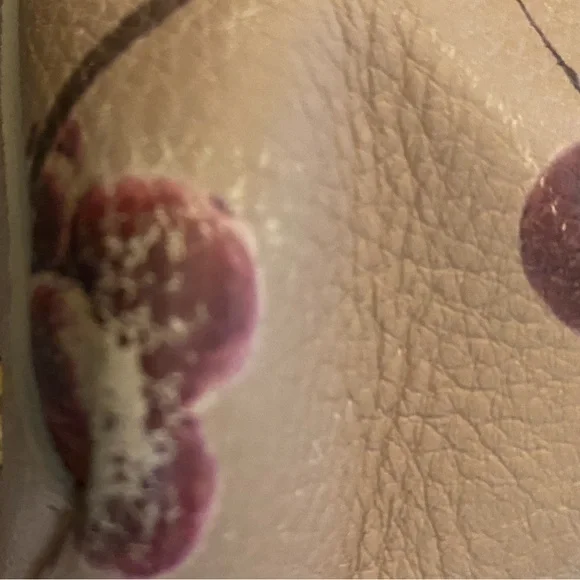 Furla Vanilla Candy Cherry Blossom Jelly Bag - Picture 13 of 16